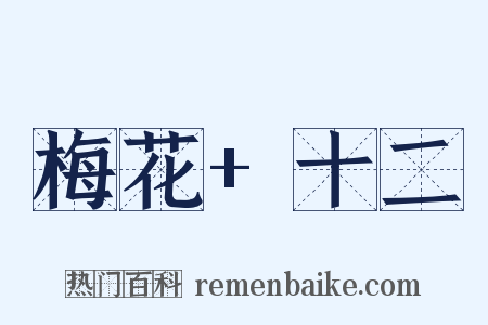 梅花+十二是什么意思的图片